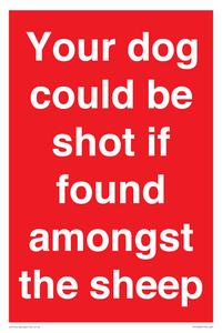 Your dog could be shot if found amongst the sheep